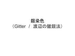銀染色（トギン法）