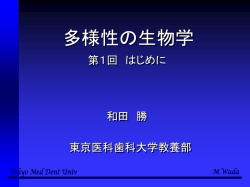 ｽﾗｲﾄﾞ ﾀｲﾄﾙなし