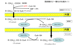 脂肪酸のβー酸化の仕組み（1）