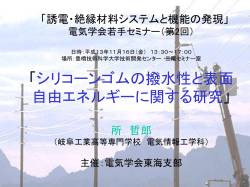 誘電・絶縁材料システムと機能の発現」 電気学会若手
