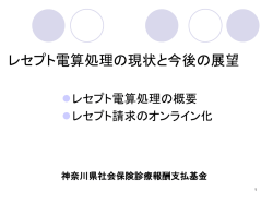 レセプト電算処理システム（調剤）