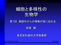 ｽﾗｲﾄﾞ ﾀｲﾄﾙなし