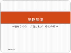 動物咬傷 - 研修医.com