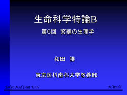 ｽﾗｲﾄﾞ ﾀｲﾄﾙなし