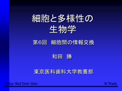 ｽﾗｲﾄﾞ ﾀｲﾄﾙなし