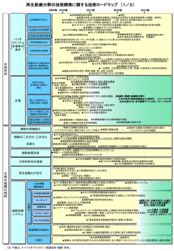 ロードマップ - 経済産業省のWEBサイト