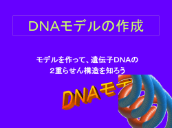 DNAモデルの作成 - 岐阜県まるごと学園