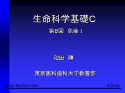 ｽﾗｲﾄﾞ ﾀｲﾄﾙなし