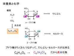 マンガン電池 （ルクランシェ電池）