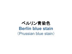 ベルリン青染色 （Berlin blue stain） （Prussian blue