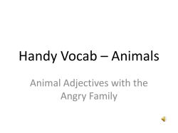 Handy Vocab &ndash; Animals