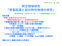 特定領域研究 「質量起源と超対称性物理の研究」