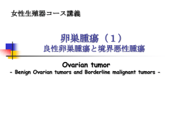 卵巣腫瘍（1） 良性卵巣腫瘍