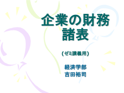 企業の財務諸表 (ゼミ講義用)