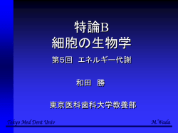 ｽﾗｲﾄﾞ ﾀｲﾄﾙなし