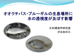 ブラックバスとブルーギルの