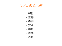 きのこの重要性