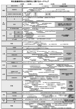 ロードマップ