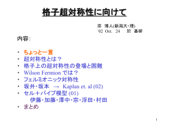 格子上の場の理論の最近の進展