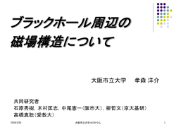 ブラックホール磁気圏