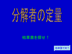 枯草菌を探せ！