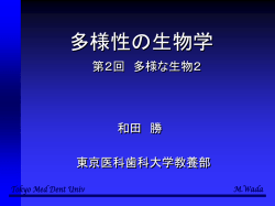 ｽﾗｲﾄﾞ ﾀｲﾄﾙなし