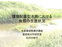 環境配慮型水路における 魚類の 生息状況