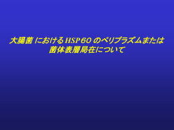 ｽﾗｲﾄﾞ ﾀｲﾄﾙなし