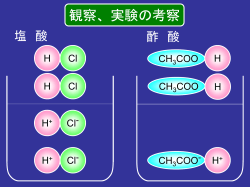 実践1_塩酸,酢酸の電離 度の違い