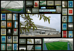 H20.10.24 屋内体育施設建設状況