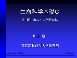 ｽﾗｲﾄﾞ ﾀｲﾄﾙなし