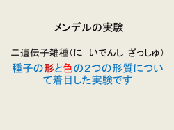 メンデルの実験