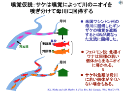 フィールド科学への招待 - Graduate School of