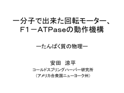 一分子で出来た回転モーター、F1－ATPaseの動作機構