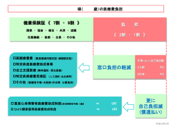 様（ 歳）の医療費負担 - 鹿児島大学病院