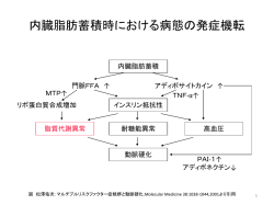 内臓脂肪蓄積時における病態の発症機転