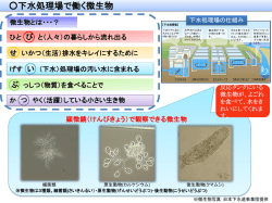 下水処理場で働く微生物特集