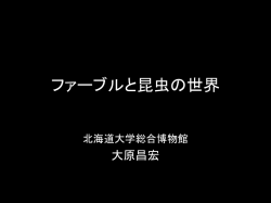 ファーブルと昆虫の世界