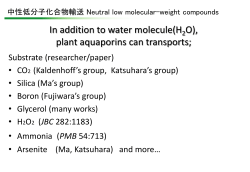 植物の「みずみずしさ」の分子機構解明と その応用の