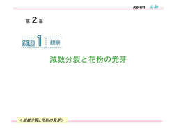 スライド 1 - 新興出版社啓林館