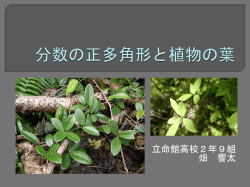 分数の多角形と植物の葉