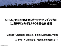 タイトルの入力（24pt_Bold_Shadow） 日本語フォント MS UI Gothic