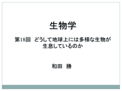 ｽﾗｲﾄﾞ ﾀｲﾄﾙなし
