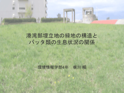 ecogismt.sfc.keio.ac.jp