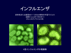 スライド 1 - トップ｜群馬県臨床検査技師会