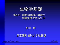 ｽﾗｲﾄﾞ ﾀｲﾄﾙなし