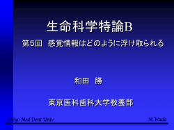 ｽﾗｲﾄﾞ ﾀｲﾄﾙなし
