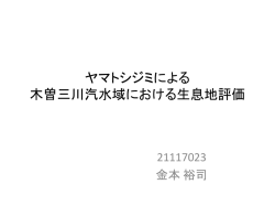 ヤマトシジミによる
