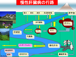 ｽﾗｲﾄﾞ ﾀｲﾄﾙなし