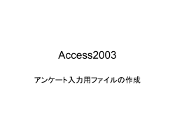Access2003